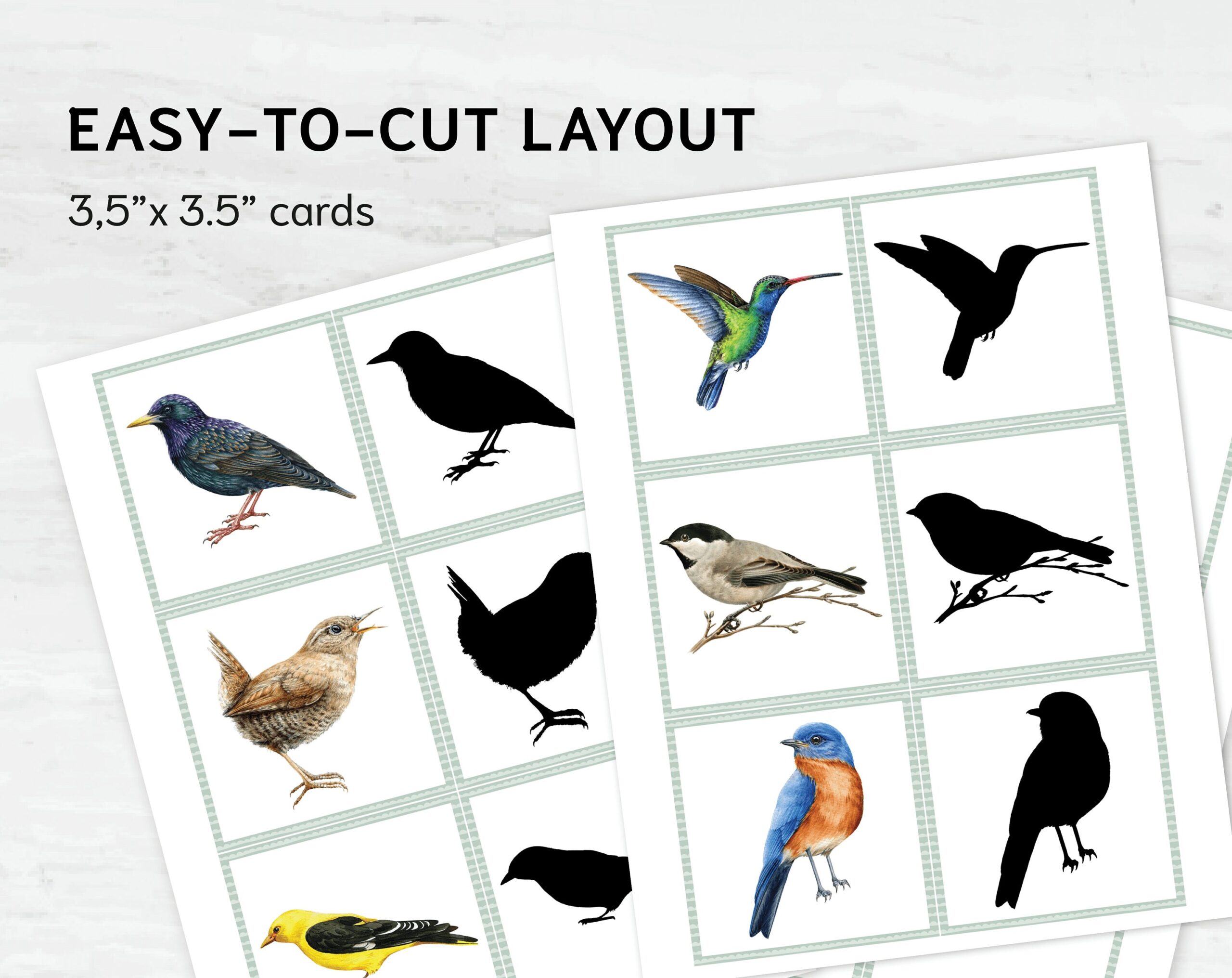 Watercolor Bird Shadow Matching Cards: Montessori Printable (PDF ...