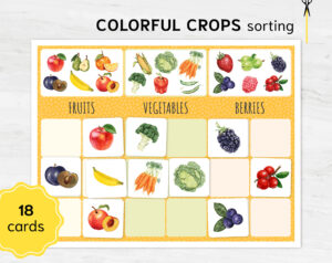 Preschool Category Sorting CROP activity. Printable Montessori math materials.