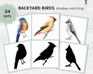 Bird shadow matching cards. Montessori Educational Materials. Printable Watercolor usa bird cards.