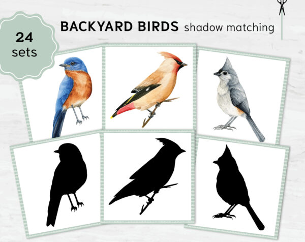 Bird shadow matching cards. Montessori Educational Materials. Printable Watercolor usa bird cards.
