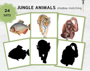 Rainforest Animal Shadows: Jungle Montessori Match, Exotic Wildlife Silhouette Game