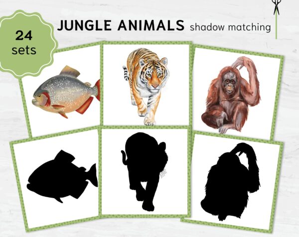 Rainforest Animal Shadows: Jungle Montessori Match, Exotic Wildlife Silhouette Game