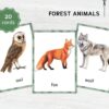 Montessori Forest Animal Flashcards | Printable Animal Nomenclature Cards for Preschool
