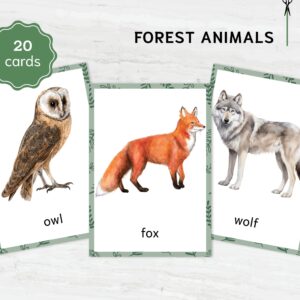 Montessori Forest Animal Flashcards | Printable Animal Nomenclature Cards for Preschool