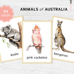 Colorful Australian Animal Flashcards for Montessori Education