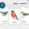 EU Birds Montessori Printable Flashcards. UK BIRDS Homeschool Materials. Nomenclature Watercolor three part cards.
