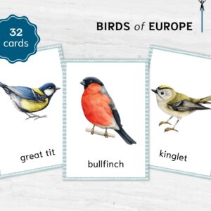 EU Birds Montessori Printable Flashcards. UK BIRDS Homeschool Materials. Nomenclature Watercolor three part cards.