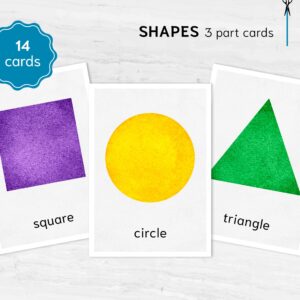 Montessori Shapes 3-Part Cards, Digital Printable Flashcards for Toddlers, Early Learning Geometry Cards