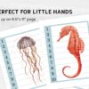 Sea Animals Number Sequence Puzzle. Montessori Kindergarten and Homeschool Resource.