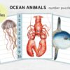 Sea Animals Number Sequence Puzzle. Montessori Kindergarten and Homeschool Resource.