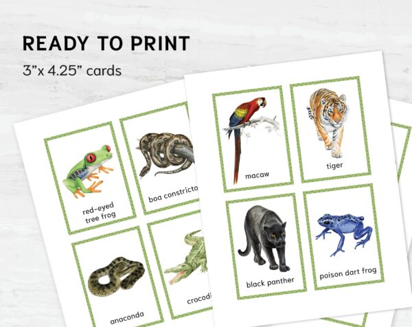 JUNGLE Animals Watercolor 3 Part Flashcards. Montessori Homeschool Supplies.