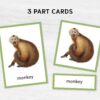 JUNGLE Animals Watercolor 3 Part Flashcards. Montessori Homeschool Supplies.