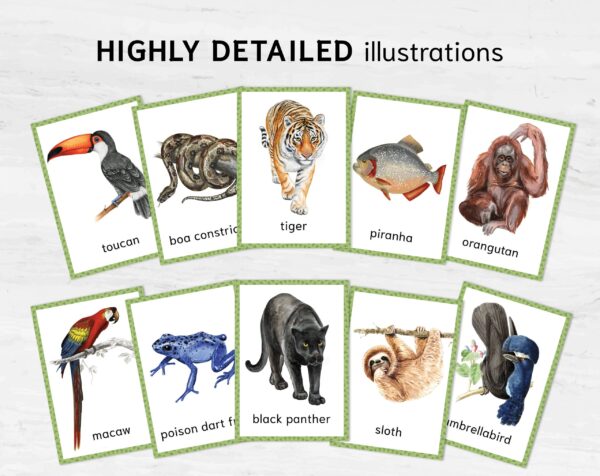 JUNGLE Animals Watercolor 3 Part Flashcards. Montessori Homeschool Supplies.