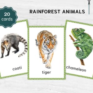 JUNGLE Animals Watercolor 3 Part Flashcards. Montessori Homeschool Supplies.
