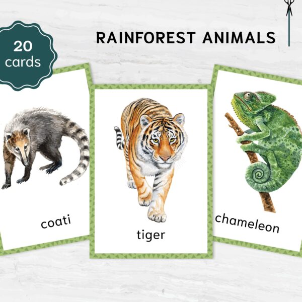 JUNGLE Animals Watercolor 3 Part Flashcards. Montessori Homeschool Supplies.