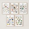 Animal Classification Educational Poster Set – Wall Art for Kids, Homeschool Learning, Wildlife Wall Decor
