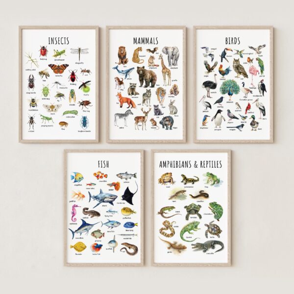 Animal Classification Educational Poster Set – Wall Art for Kids, Homeschool Learning, Wildlife Wall Decor