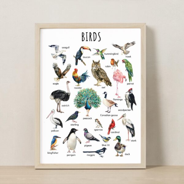 Animal Classification Educational Poster Set – Wall Art for Kids, Homeschool Learning, Wildlife Wall Decor