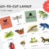 Animal Classification Sorting Cards. Printable Montessori Science Study. BONUS: 6 reference posters.