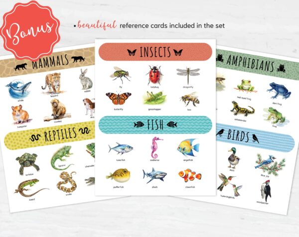 Animal Classification Sorting Cards. Printable Montessori Science Study. BONUS: 6 reference posters.