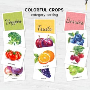 Produce Category Sorting activity. Preschool sorting activity. Printable Montessori math materials.