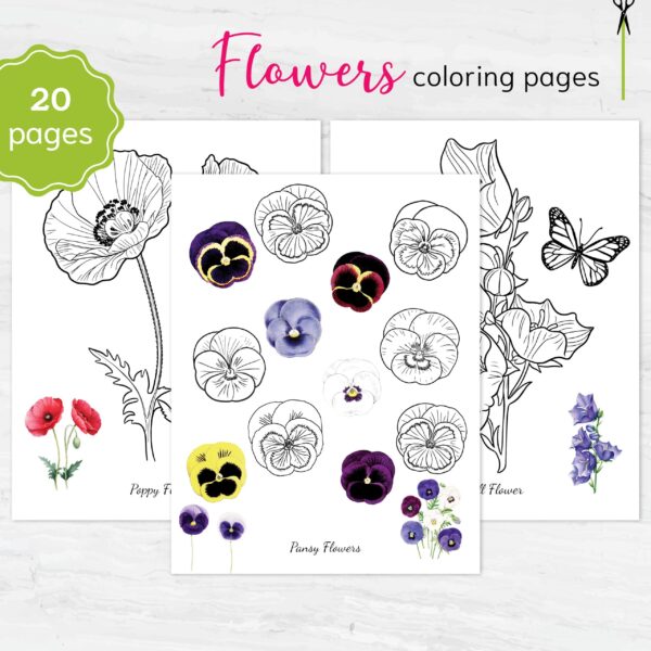 Flowers Coloring Pages | Printable Coloring Book for Stress Relief, Art Therapy & Fun Kids Activities