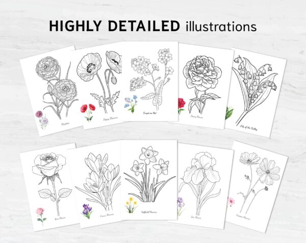Flowers Coloring Pages | Printable Coloring Book for Stress Relief, Art Therapy & Fun Kids Activities