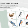 Beak & Tail: Bird Halves Matching Game for Toddlers.