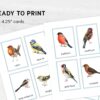 EU Birds Montessori Printable Flashcards. UK BIRDS Homeschool Materials. Nomenclature Watercolor three part cards.