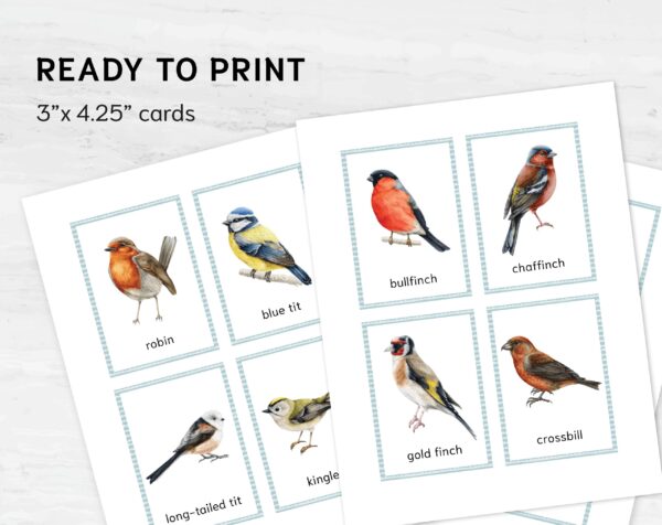 EU Birds Montessori Printable Flashcards. UK BIRDS Homeschool Materials. Nomenclature Watercolor three part cards.