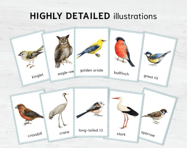 EU Birds Montessori Printable Flashcards. UK BIRDS Homeschool Materials. Nomenclature Watercolor three part cards.