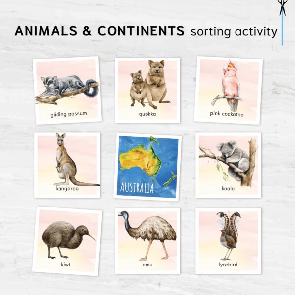 Animals & continents sorting activity. Learn about where different animals live.