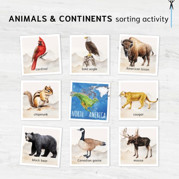 Animals & continents sorting activity. Learn about where different animals live.