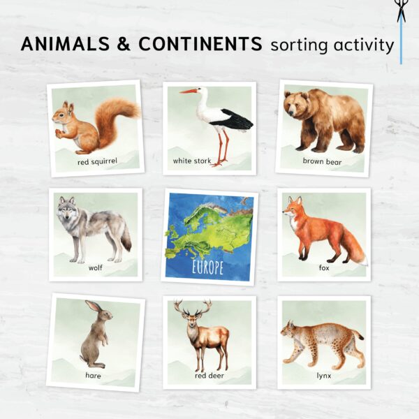 Animals & continents sorting activity. Learn about where different animals live.