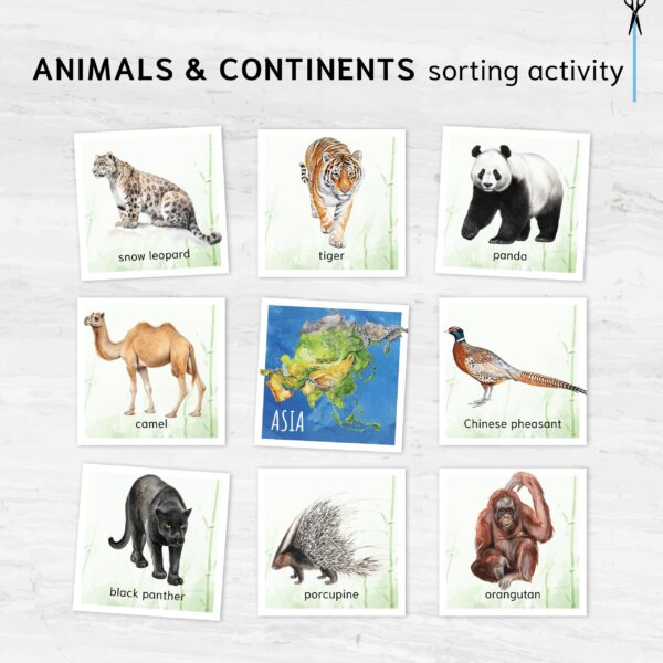 Animals & continents sorting activity. Learn about where different animals live.