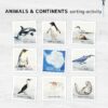 Animals & continents sorting activity. Learn about where different animals live.