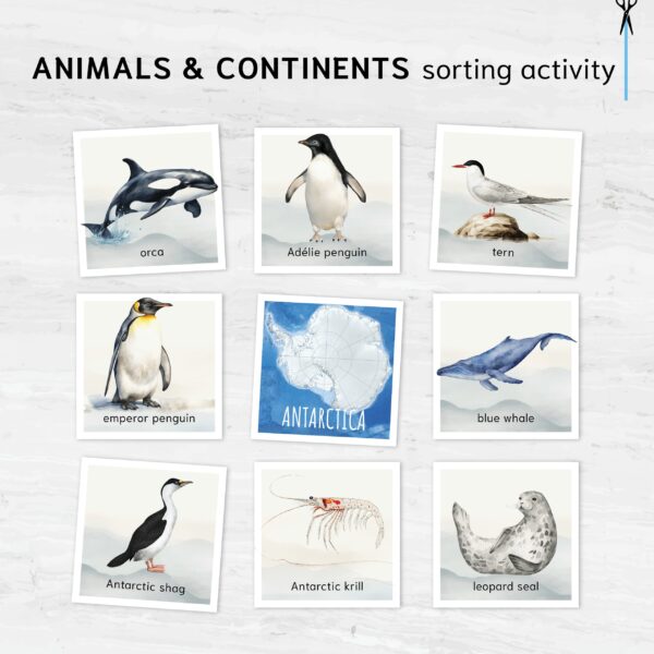 Animals & continents sorting activity. Learn about where different animals live.