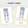 Montessori Clothes Flashcards - a Printable Homeschool Material with Nomenclature Vocabulary Cards. +BONUS