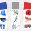 Montessori Color Sorting Matching Game: Toddler's 12-Color Recognition and Matching Activity Printable Set