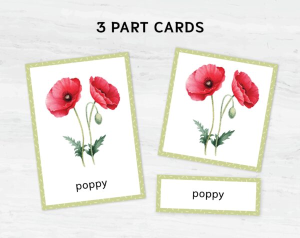 Printable Flower Flashcards - Montessori Educational Homeschooling Materials - Watercolor 3-part Learning Cards
