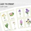 Printable Flower Flashcards - Montessori Educational Homeschooling Materials - Watercolor 3-part Learning Cards