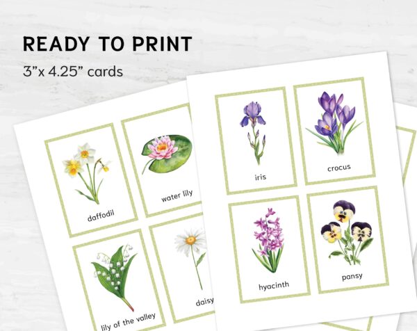 Printable Flower Flashcards - Montessori Educational Homeschooling Materials - Watercolor 3-part Learning Cards