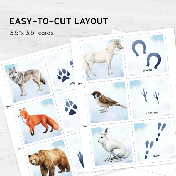 Winter Animal Tracks Adventure: Montessori Animal Discovery Game