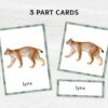 Montessori Forest Animal Flashcards | Printable Animal Nomenclature Cards for Preschool