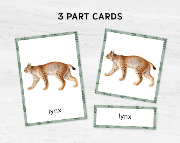 Montessori Forest Animal Flashcards | Printable Animal Nomenclature Cards for Preschool