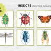 INSECTS Matching Puzzle. Bugs Symmetry Adventure!
