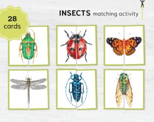 INSECTS Matching Puzzle. Bugs Symmetry Adventure!