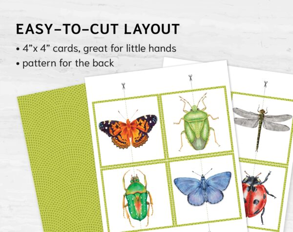 INSECTS Matching Puzzle. Bugs Symmetry Adventure!