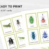 Montessori Bugs printable flash cards. Insect education and vocabulary learning.