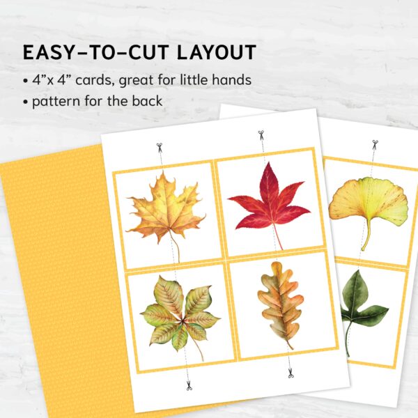 Autumn puzzle: Fall Leaves Matching Game for Toddlers.